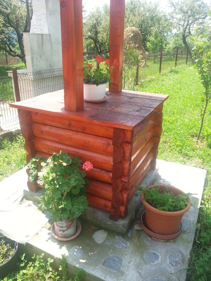 Pensiunea Agroturistica Ioana Bradulet Luaran gambar