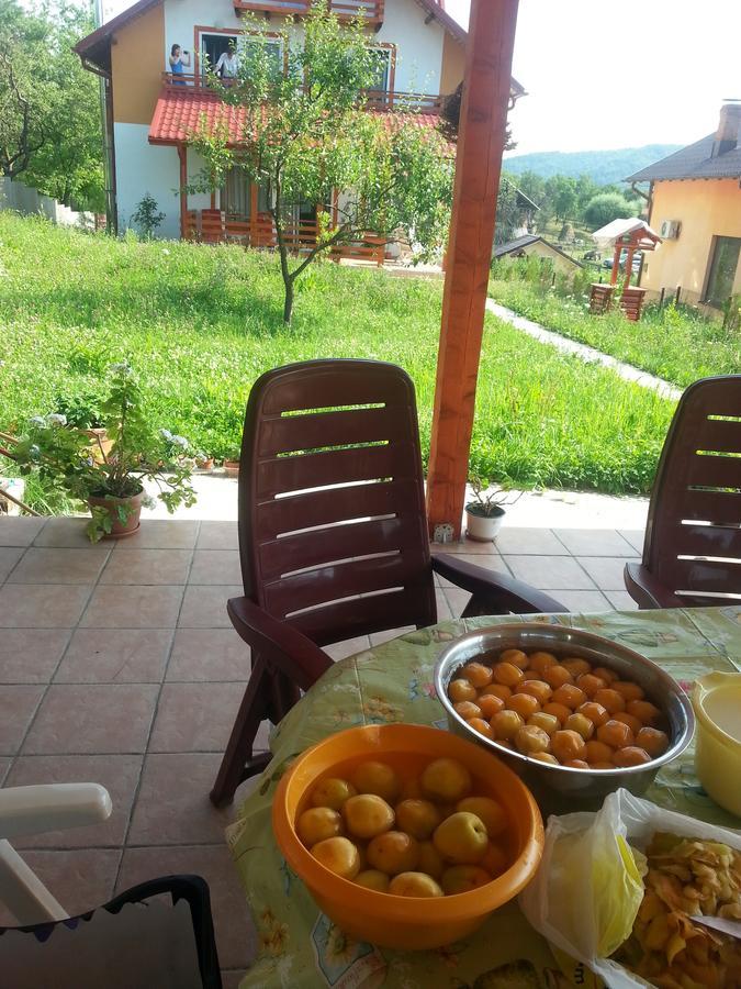 Pensiunea Agroturistica Ioana Bradulet Luaran gambar